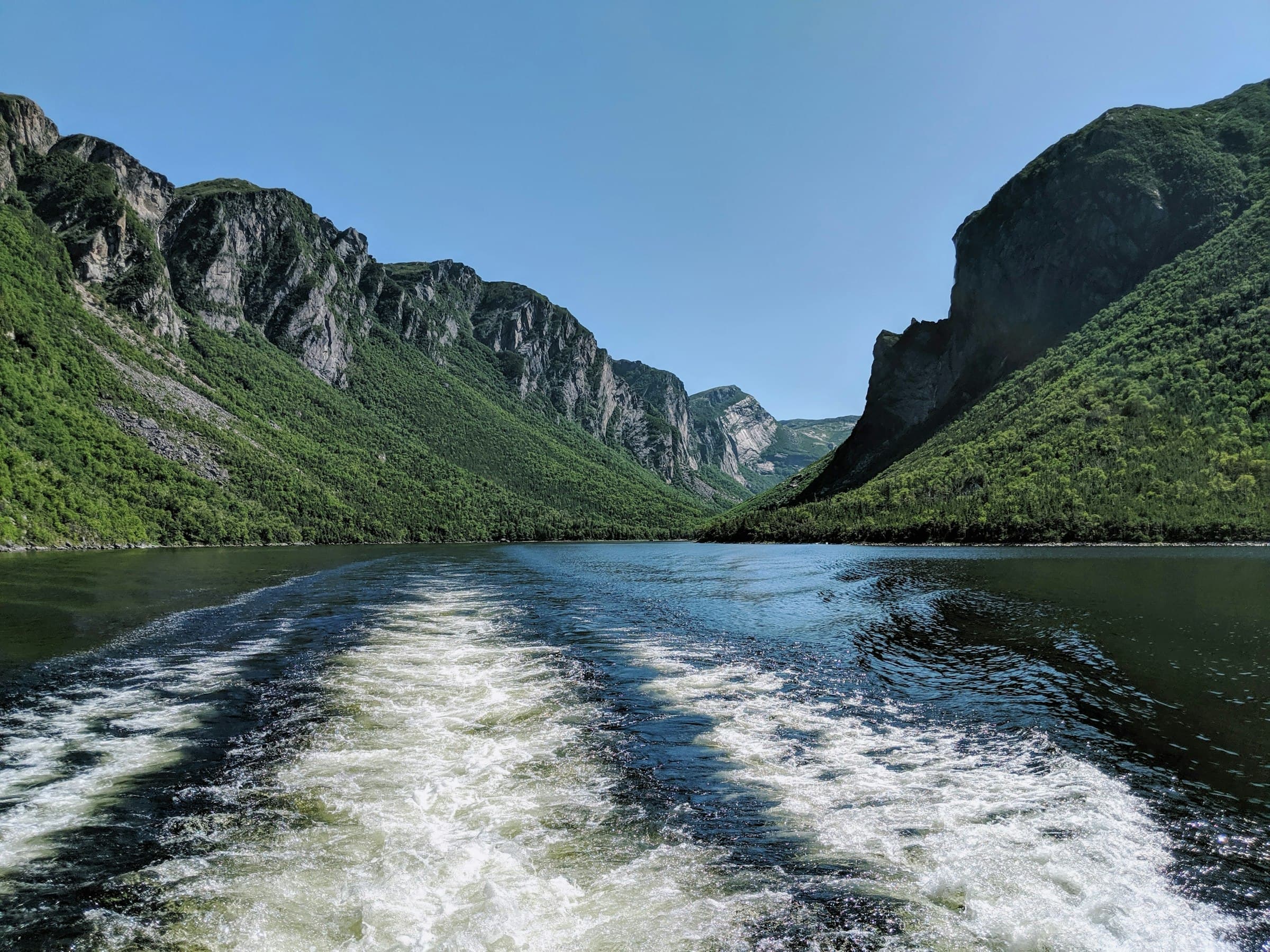 A boat wake crossing a Newfoundland fjord between green cliffs